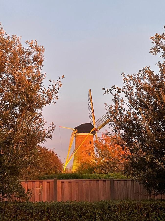 Gastenverblijf Bij De Buuren Dirksland Екстер'єр фото
